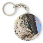Acorn Woodpecker Keychains