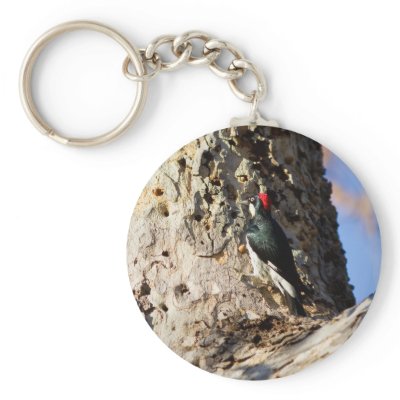 Acorn Woodpecker Keychain by jeanro
