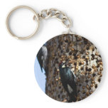 Acorn Woodpeckers Keychain