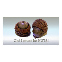 Acorns - Oh I Must Be Nuts Photo Cards