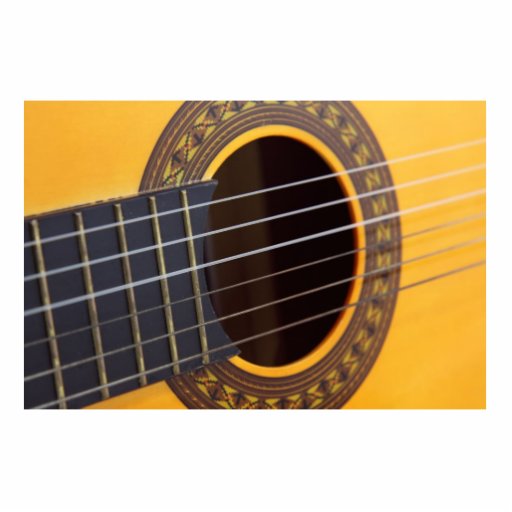 Acoustic Guitar Detail Photo Sculpture