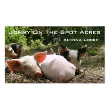 Acres de Jonny sur place Cartes De Visite Professionnelles