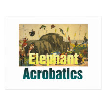 Acrobaties d'éléphant de PIÈCE EN T Carte Postale