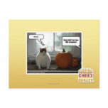 Act cool post card
