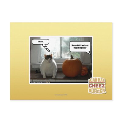 Act cool post card by icanhascheezburger
