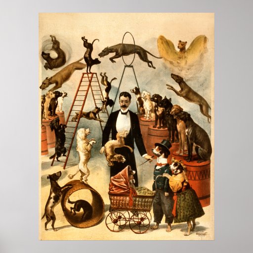 Acte qualifié 1899 de chien - Loi de cirque vintag Posters
