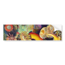 Actiniae (Sea Anemones), Ernst Haeckel Bumper Sticker