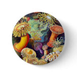 Actiniae (Sea Anemones), Ernst Haeckel Pinback Button