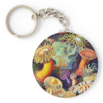 Actiniae (Sea Anemones), Ernst Haeckel Keychains