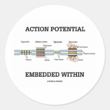 Action Potential Embedded Within (Cell Junctions) Round Stickers