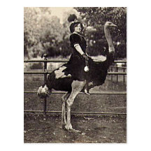 Actrice vintage de Broadway montant une autruche Cartes Postales