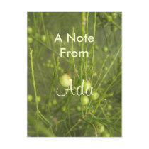 Ada Postcard