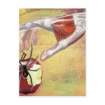 ADAM'S APPLE.jpg Post Cards