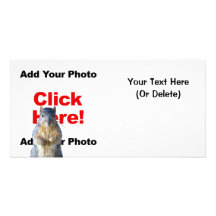 Add A Squirrel Custom Photo Card