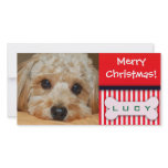 Add your favourite dog photo to this Christmas tem Picture Card