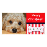Add your favourite dog photo to this Christmas tem Picture Card