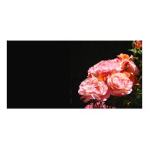 Add Your Text Photos Cards Pink Rose Flowers Picture Card
