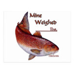 Add your weight-Redfish Post Card