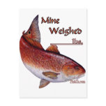 Add your weight-Redfish Post Card