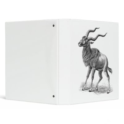 Addax Binder by Ernst_Haeckel
