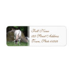 Addax Mailing Label