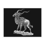 Addax Post Cards