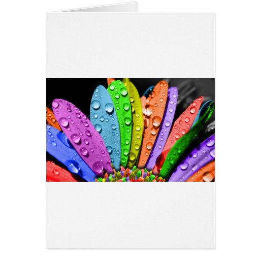 addcolourto life.jpg cards