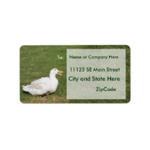 Address Labels White Duck and Green Grass