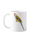 Adelaide Rosella - Platycerus elegans adelaidae Coffee Mugs