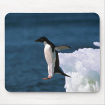 Adelie Penguins mousepads