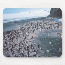 Adelie Penguins Mousepad