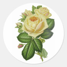 Adesivo Rosa Amarela