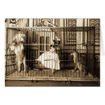 Adgie and Her Trained Lions1897 Cards