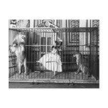 Adgie and Her Trained Lions 1897 Postcard