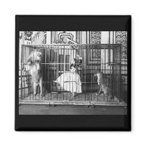 Adgie et elle ont formé Lions1897 aimants