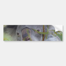 Adhésif pour pare-chocs australien de koala adhésif pour voiture