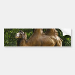 Adhésif pour pare-chocs de chameau de deux Humped Adhésif Pour Voiture