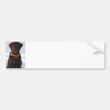 Adhésif pour pare-chocs de Labrador de chocolat Autocollant Pour Voiture