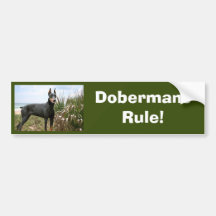Adhésif pour pare-chocs de Pinscher de dobermann Autocollant Pour Voiture