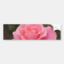 Adhésif pour pare-chocs de rose de rose autocollants pour voiture