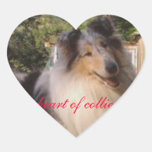 adhesive with rough collies heart stickers