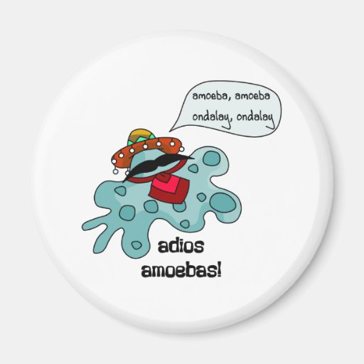 Adios Amoebas Refrigerator Magnets