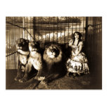 Adjie and the Lions 1899 Post Cards