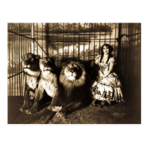 Adjie and the Lions 1899 Post Cards