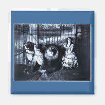 Adjie and the Lions 1899 Refrigerator Magnets