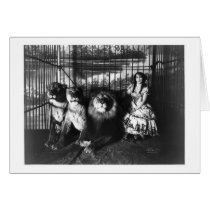 Adjie et les lions 1899 cartes