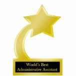 Administrative Assistant, Gold Star Award Trophy photo sculptures