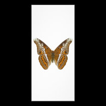 Admiral Butterfly rack cards