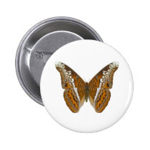 Admiral Butterfly buttons