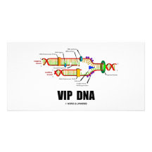 ADN de VIP (humour de reproduction d'ADN) Photocarte